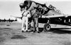 Filename=T6G_et_pilotes___57_Guibond_D_dec57_phph.jpg
Filesize=67KiB
Dimensions=1009x652
Date added=Aug 12, 2010 T6G_et_pilotes___57_Guibond_D_dec57_phph.jpg