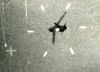 Filename=Crusader_USN_3_requi.jpg
Filesize=51KiB
Dimensions=1024x741
Date added=Oct 20, 2007 Crusader_USN_3_requi.jpg