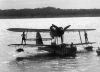 02_Sea_Otter9S2_col_Boespflug_ph.jpg