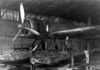 05_AichiCat_Lai_1947col_Boespflug_via_Moitry_ph.jpg