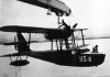 15_Sea_Otter_8S6_col_Boespflug_ph.jpg