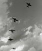 Filename=Bearcat_peeloff_DBP387.jpg
Filesize=55KiB
Dimensions=857x1024
Date added=Mar 01, 2008 Bearcat_peeloff_DBP387.jpg