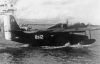 Goose_8S12_col_Boespflug_ph.jpg