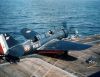 Helldiver_Langevin_Indo059.jpg