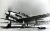 MS474_Vanneau_aero_Jacques_P_.jpg