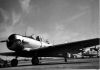 Filename=SNJ_10S_8_St_Raphel_col_Boespflug_ph.jpg
Filesize=44KiB
Dimensions=1024x717
Date added=Apr 19, 2009 SNJ_10S_8_St_Raphel_col_Boespflug_ph.jpg