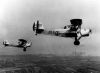 Filename=STAMPE_50S23_RISTORph.jpg
Filesize=54KiB
Dimensions=1082x790
Date added=Jan 21, 2009 STAMPE_50S23_RISTORph.jpg