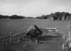 helldiver_baie_along_dr_phph.jpg