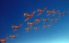 Filename=T6_formation_mrk_Phph.jpg
Filesize=54KiB
Dimensions=1024x655
Date added=Aug 22, 2011 T6_formation_mrk_Phph.jpg