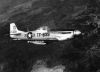 mustang-p51_lafoucriere_phph.jpg