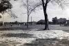 Filename=Craig__field_Catenne.jpg
Filesize=79KiB
Dimensions=1024x687
Date added=Mar 11, 2007 Craig__field_Catenne.jpg